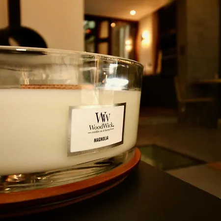 L'atelier 1742 - Atypique Jacuzzi Centre Appartement